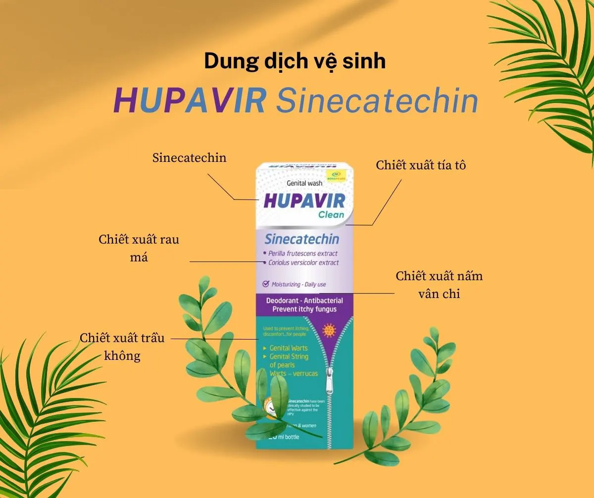 Thành phần của dung dịch vệ sinh Hupavir Sinecatechin