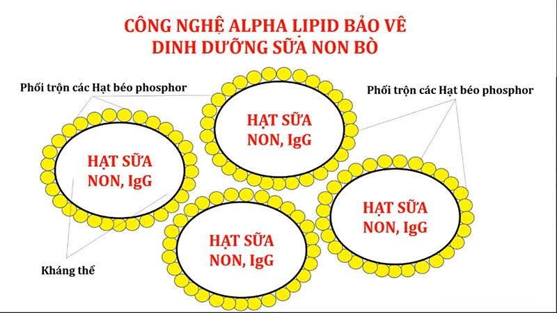 Công nghệ độc quyền Alpha Lipid