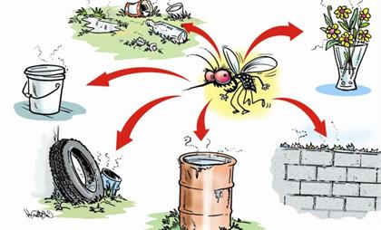 Dọn sạch những nơi muỗi có thể trú ngụ đề phòng sốt xuât huyết ở người lớn