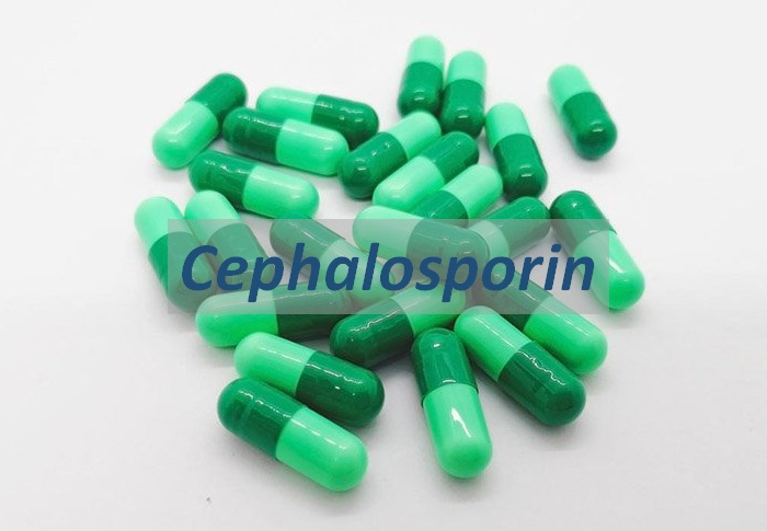 Cephalosporin thường được dùng trong điều trị viêm đường tiết niệu