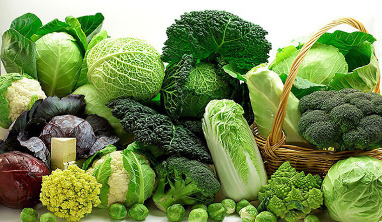 Rau xanh cung cấp nhiều chất xơ, vitamin và khoáng chất