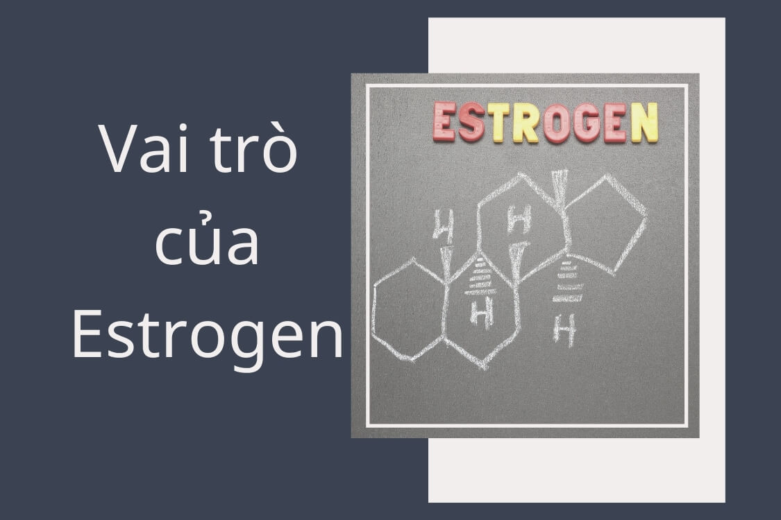 Estrogen đóng vai trò quan trọng đối với phụ nữ