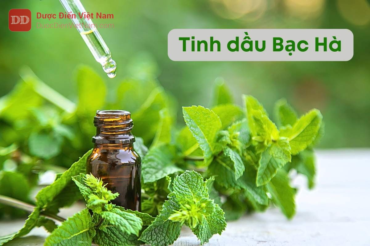 Các tác dụng của tinh dầu bạc hà đối với sức khỏe