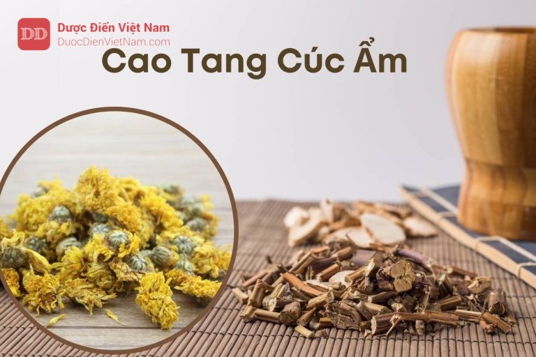 Cao-tang-cuc-am