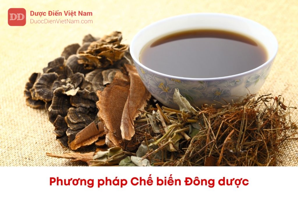 Phương pháp chế biến đông dược