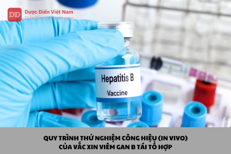 Quy trình thử nghiệm công hiệu (In Vivo) của Vắc xin Viêm gan B tái tổ hợp