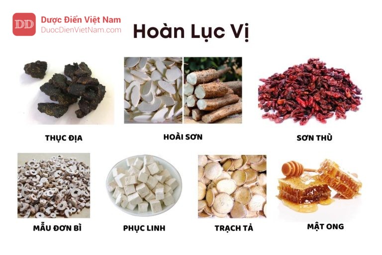 hoan-luc-vi