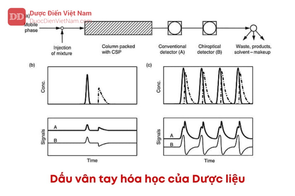 Hướng dẫn thiết lập dấu vân tay hóa học của dược liệu bằng phương pháp sắc ký lỏng hoặc sắc ký khí