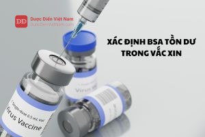 Xác định BSA tồn dư trong Vắc xin