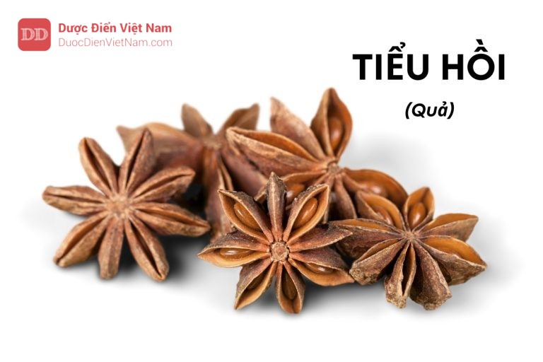 TIỂU HỒI (Quả)