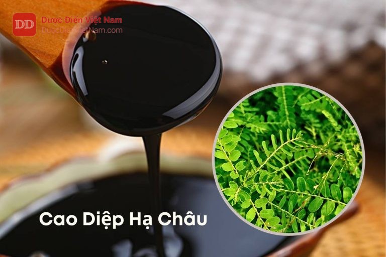 cao-đặc-diệp-hạ-châu-đắng