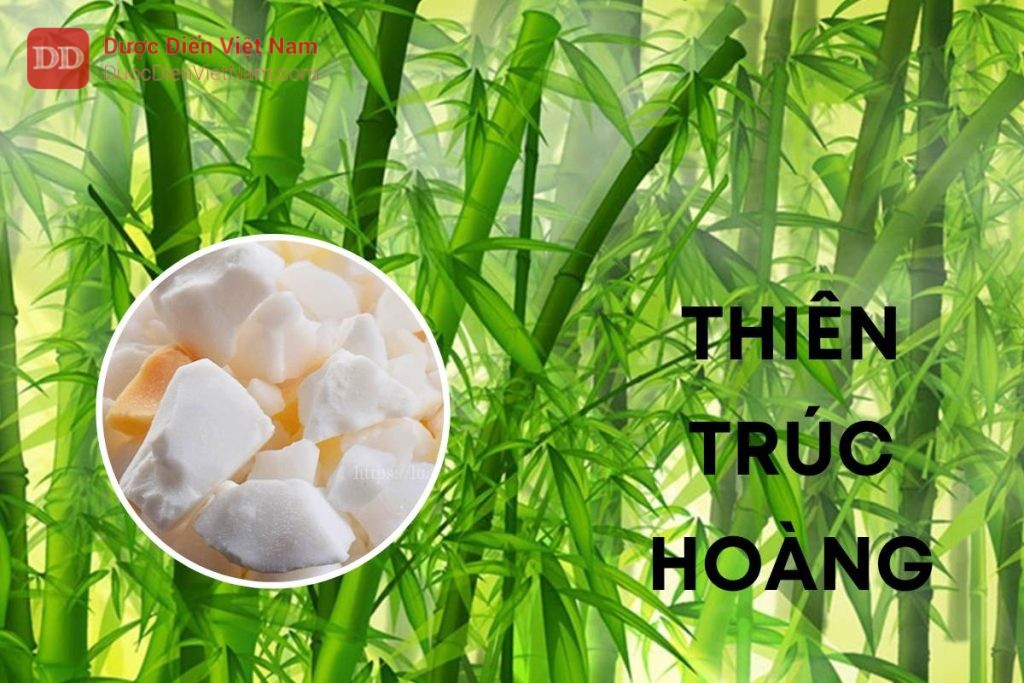 THIÊN TRÚC HOÀNG