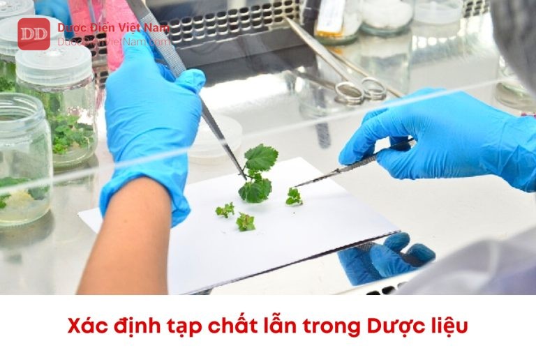 Xác định tạp chất lẫn trong dược liệu