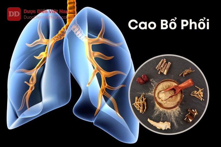 cao-bổ-phổi