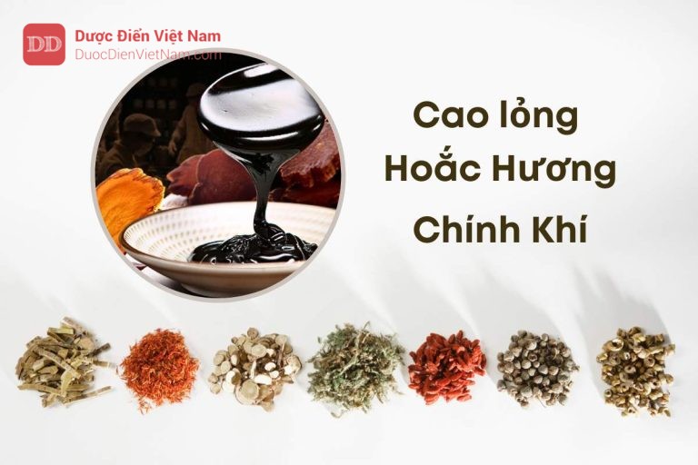 cao-long-hoac-huong-chinh-khi