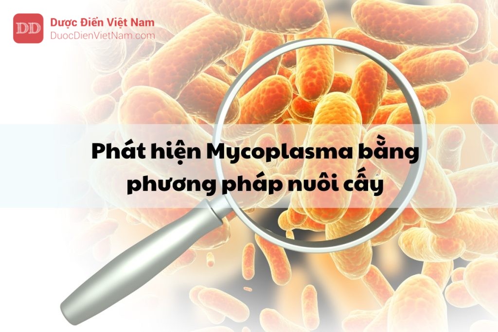 Phát hiện Mycoplasma bằng phương pháp nuôi cấy