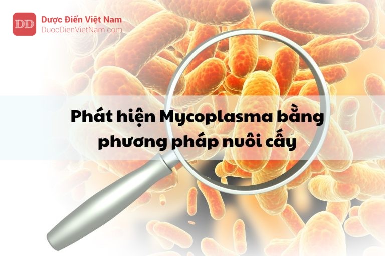 Phát hiện Mycoplasma bằng phương pháp nuôi cấy