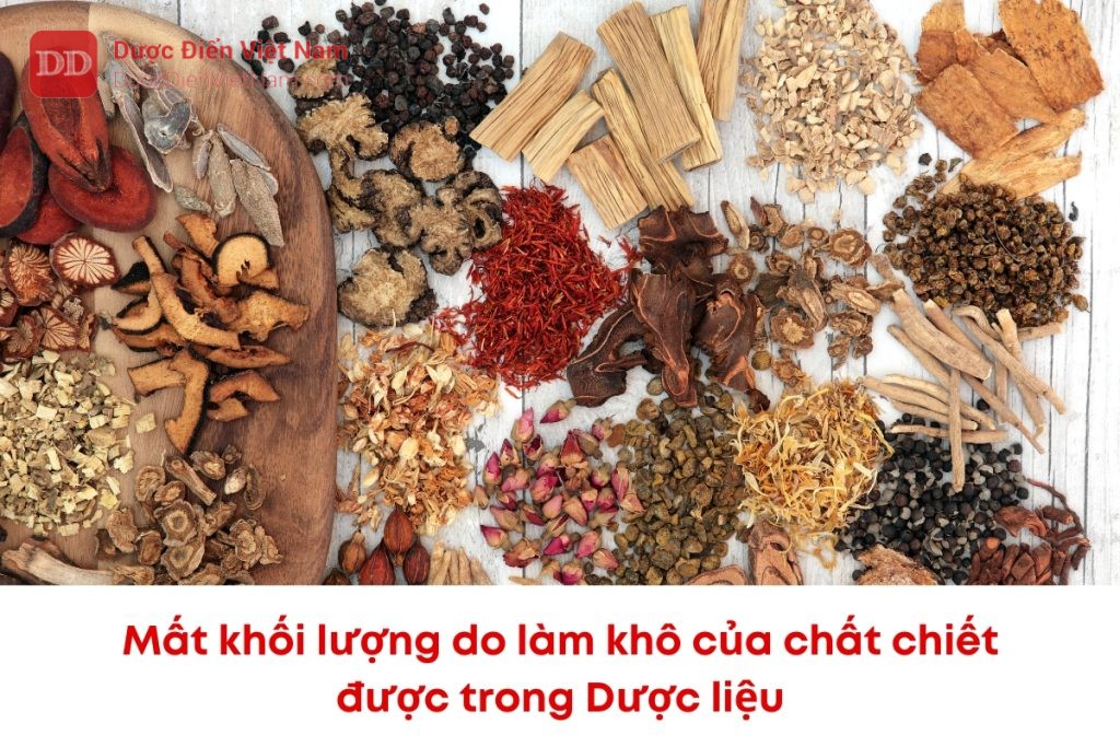 Mất khối lượng do làm khô của các chất chiết được trong dược liệu