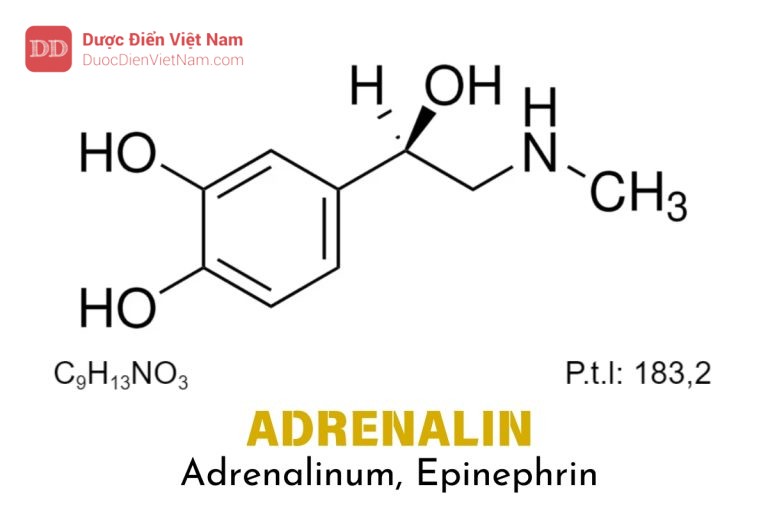 Adrenalin