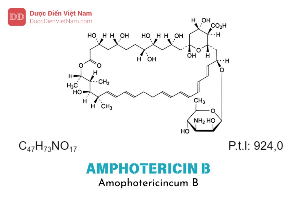 Amphotericin B