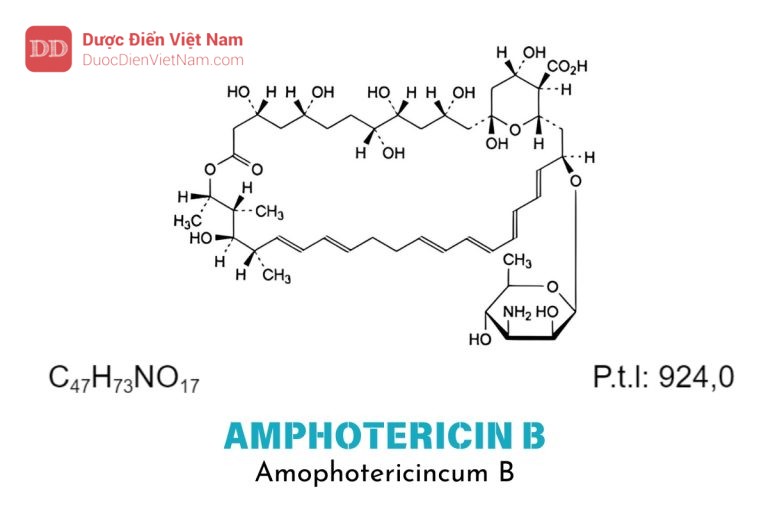 Amphotericin B