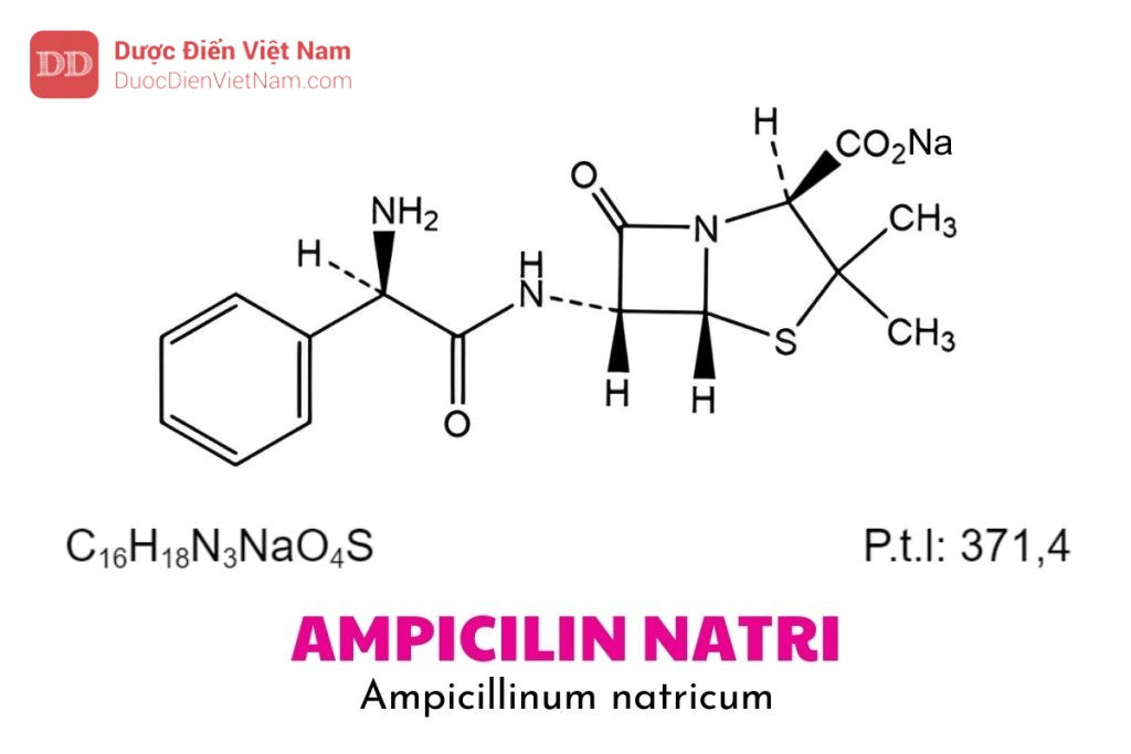 Ampicilin Natri