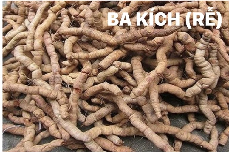 Ba Kích