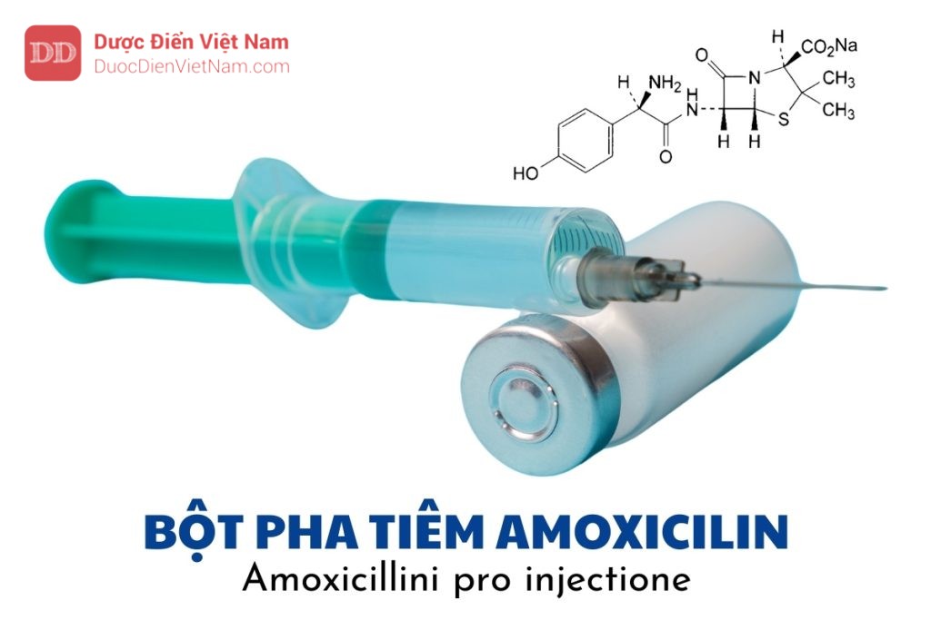 bột pha tiêm Amoxicilin