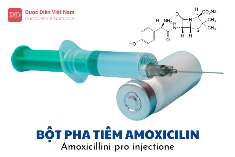 bột pha tiêm Amoxicilin