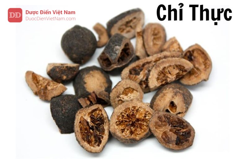 Chỉ thực