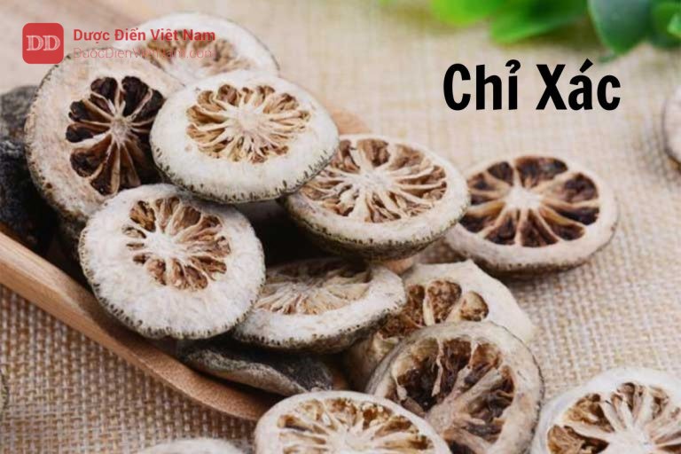 Chỉ xác