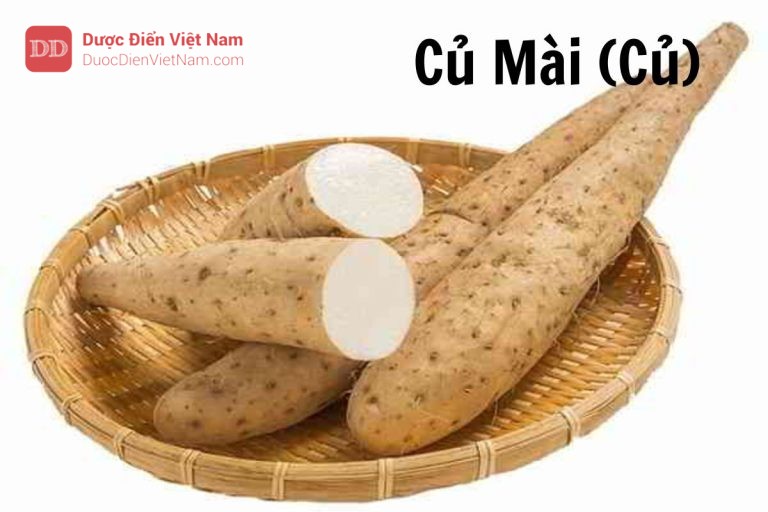 Củ Mài (Củ)