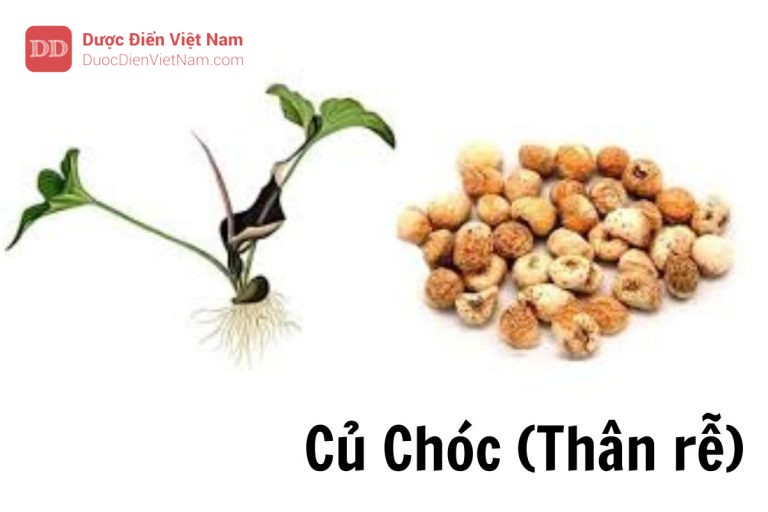 Củ chóc