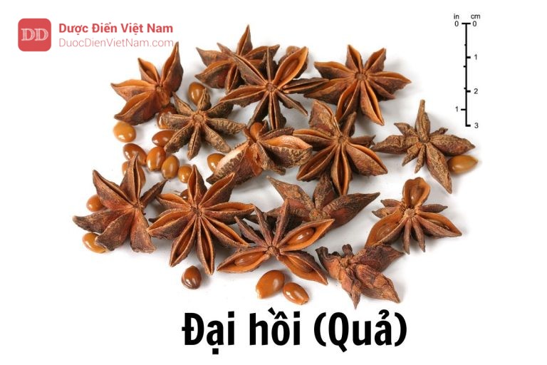 Đại hồi