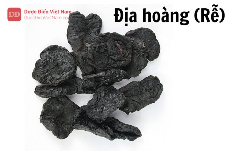 Địa hoàng