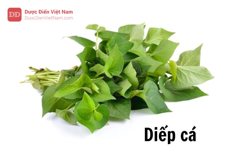 Diếp cá