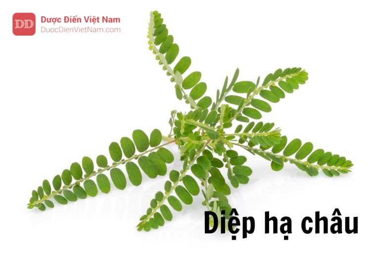 Diệp hạ châu