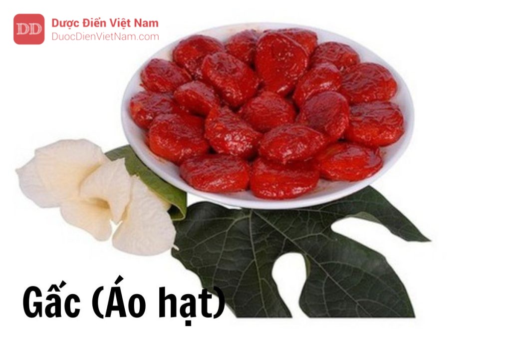 Gấc áo hạt