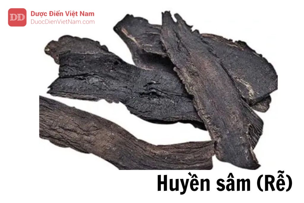 HUyền sâm