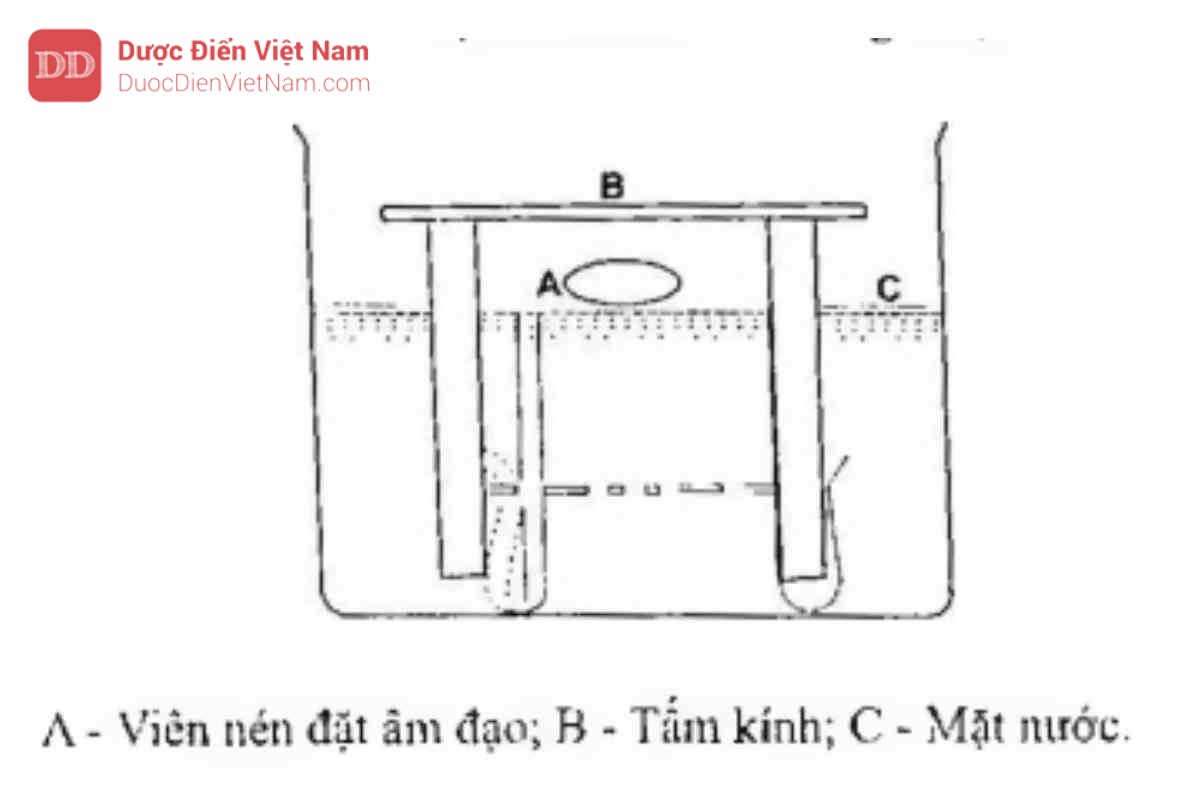 Hình 11.5.2 - Thiết bị thử độ rã của viên nén đặt âm đạo