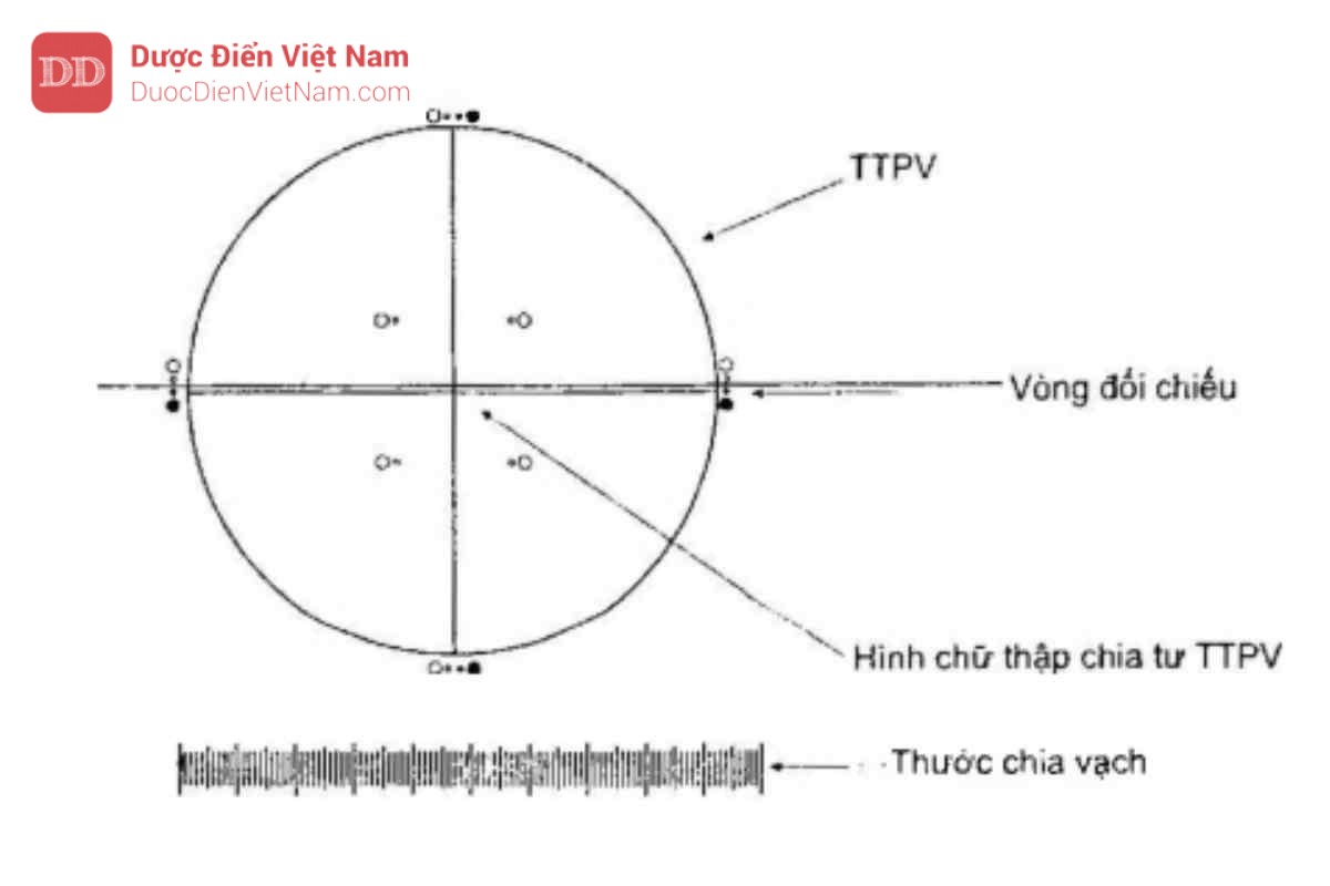 Hình 11.8.1 - Trắc vi thị kính