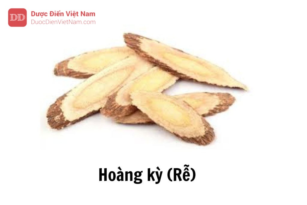 Hoàng kỳ (Rễ)