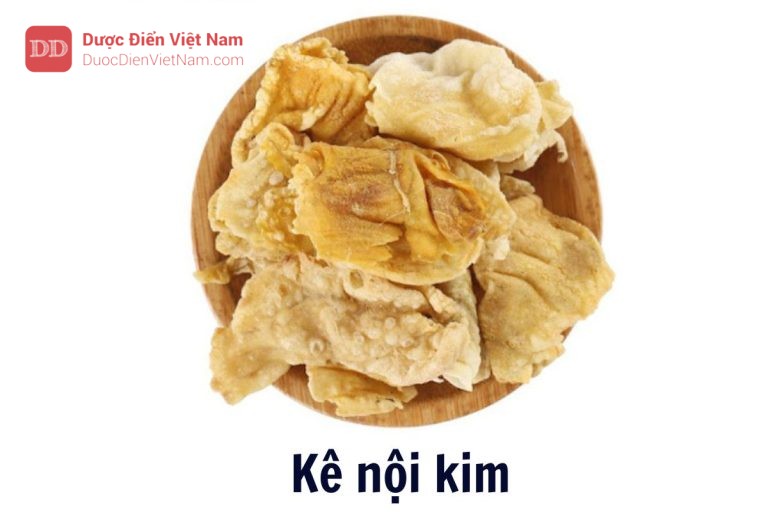 Kê nội kim