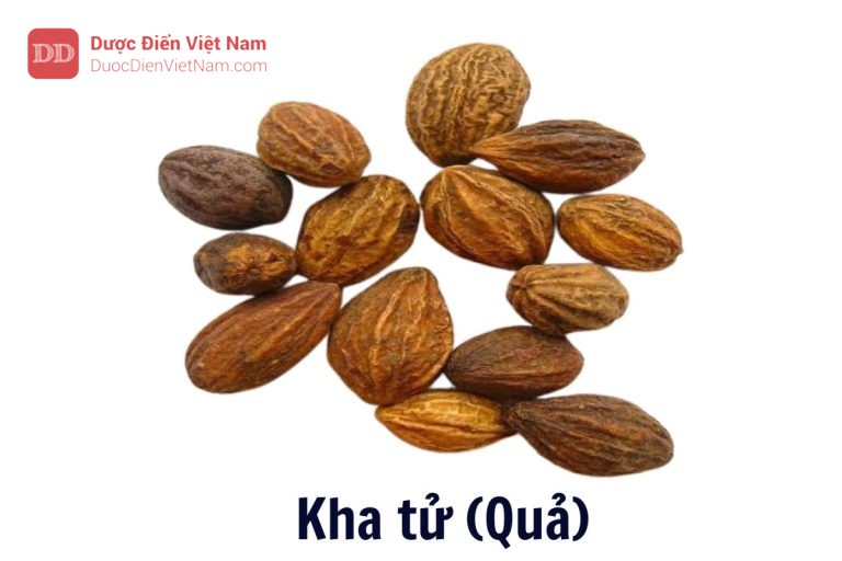 Kha tử