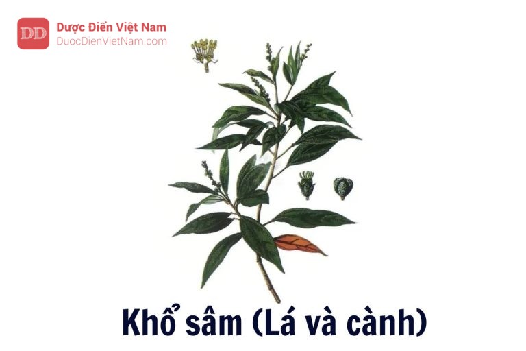 Khổ sâm