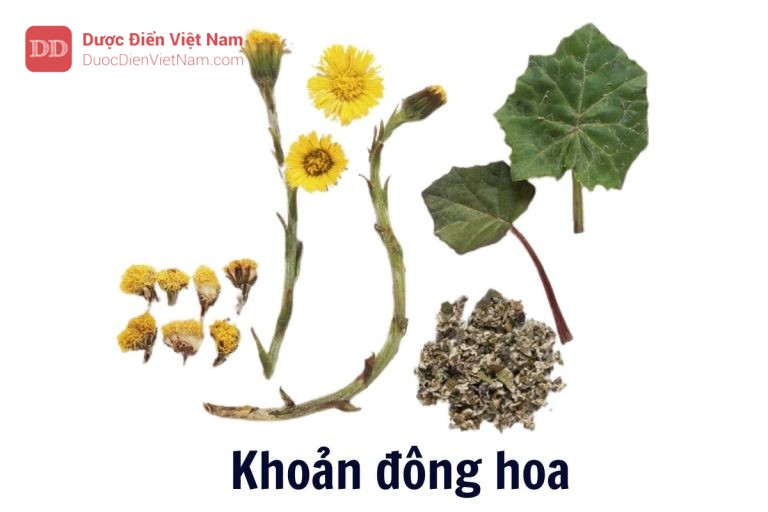 Khoản đông hoa