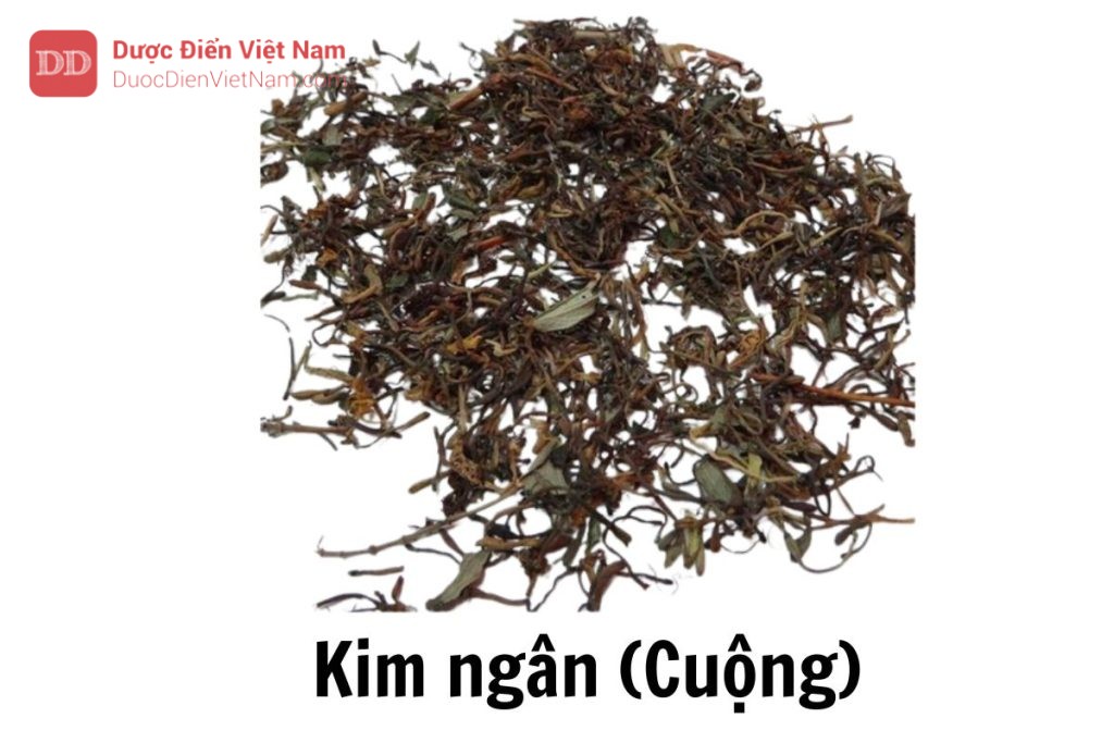 Kim ngân cuộng