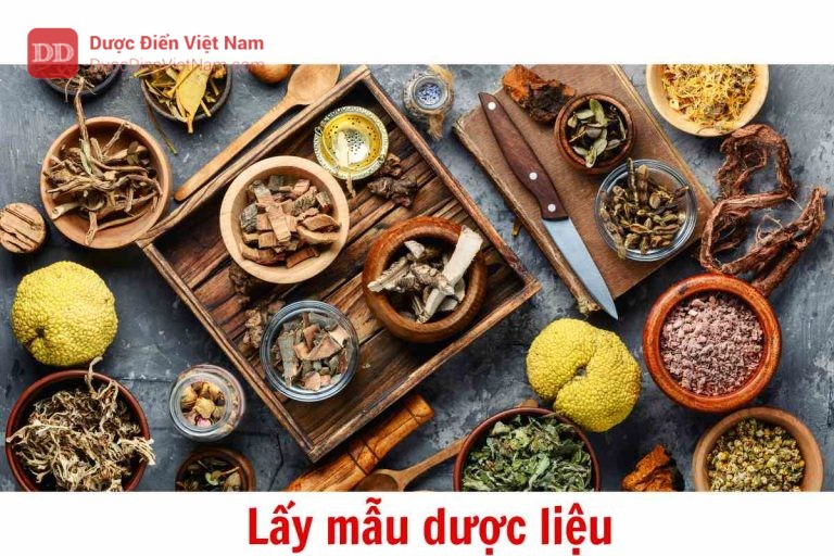 Lấy mẫu dược liệu