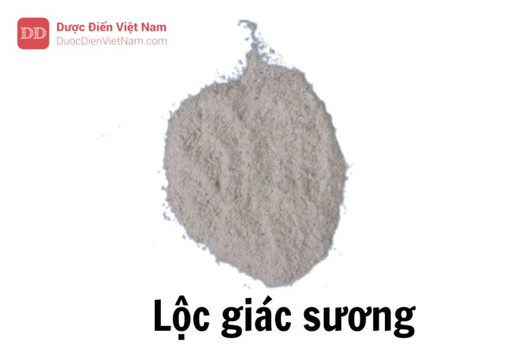 Lộc giác sương