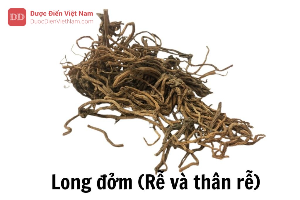 Long đởm